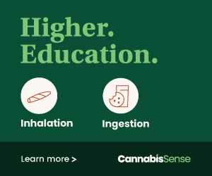 CannabisSense_Higher_Education_banner_300x250